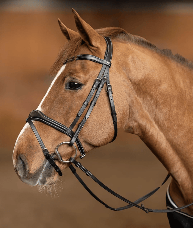 HFI Hoofdstel Wavy Trenshoofdstellen - Maddelin Equestrian HFI