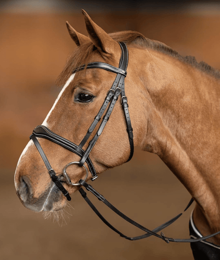 HFI Hoofdstel Wavy Trenshoofdstellen - Maddelin Equestrian HFI
