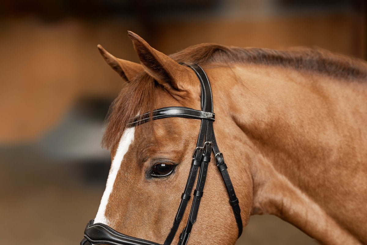 HFI Hoofdstel Wavy Trenshoofdstellen - Maddelin Equestrian HFI