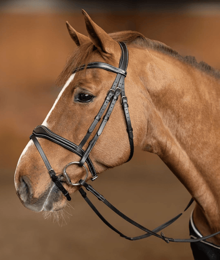 HFI Hoofdstel Wavy Trenshoofdstellen - Maddelin Equestrian HFI