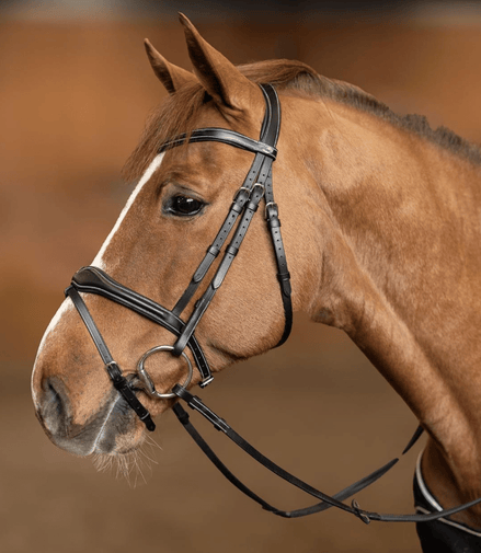 HFI Hoofdstel Wavy Trenshoofdstellen - Maddelin Equestrian HFI