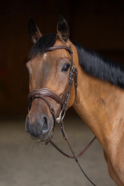 HFI Hoofdstel Wavy Trenshoofdstellen - Maddelin Equestrian HFI