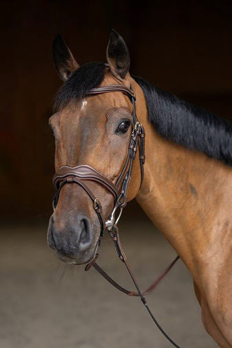 HFI Hoofdstel Wavy Trenshoofdstellen - Maddelin Equestrian HFI