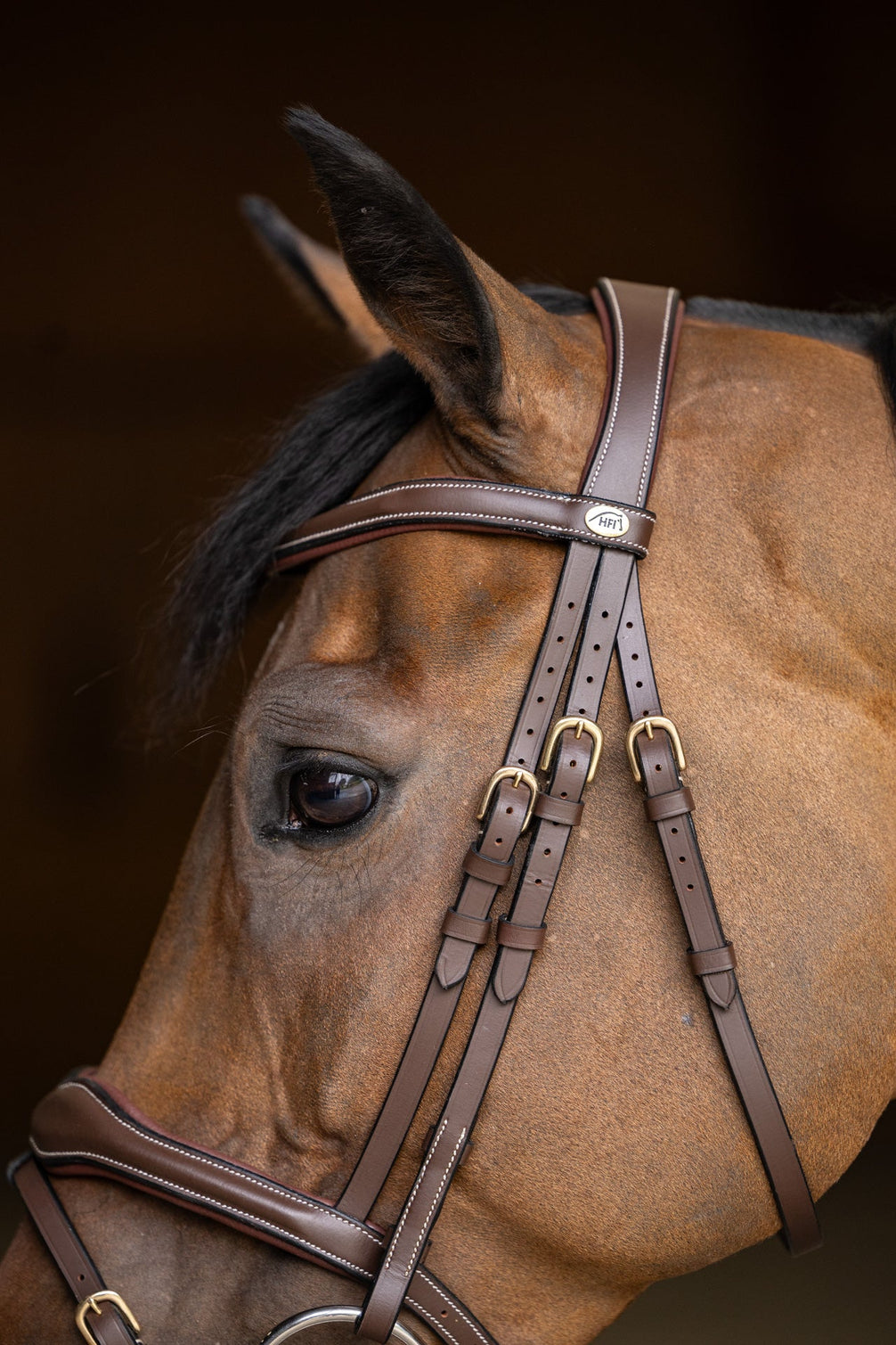 HFI Hoofdstel Wavy Trenshoofdstellen - Maddelin Equestrian HFI