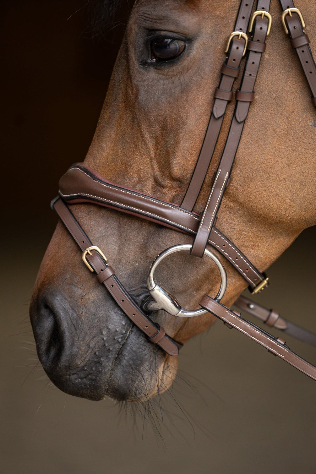 HFI Hoofdstel Wavy Trenshoofdstellen - Maddelin Equestrian HFI