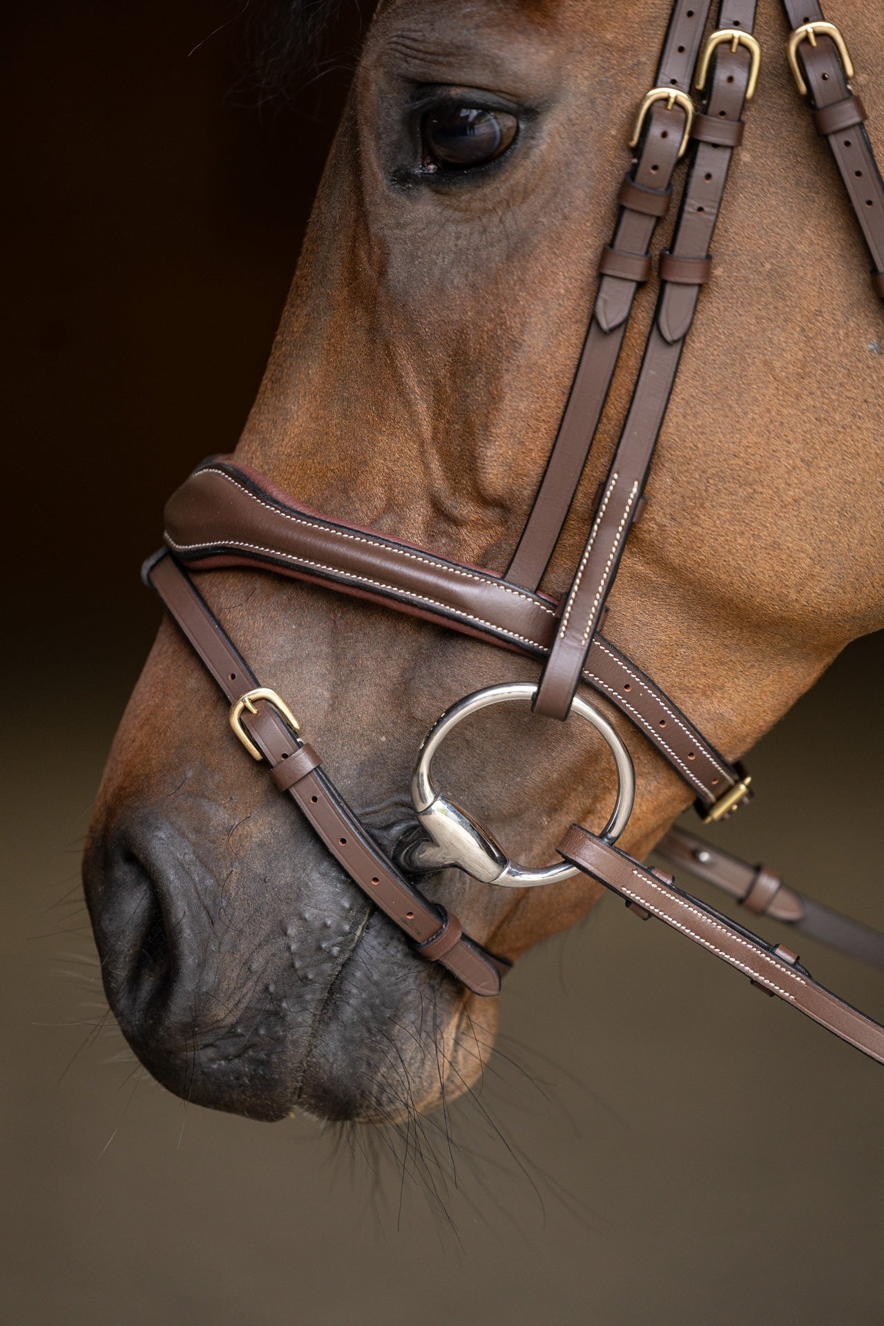 HFI Hoofdstel Wavy Trenshoofdstellen - Maddelin Equestrian HFI