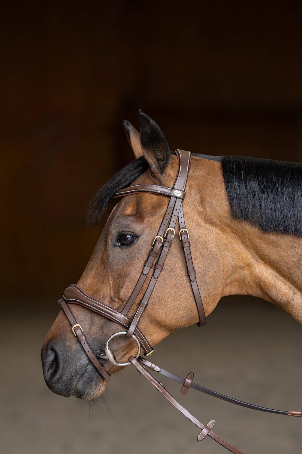 HFI Hoofdstel Wavy Trenshoofdstellen - Maddelin Equestrian HFI