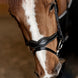 HFI Hoofdstel Wavy Trenshoofdstellen - Maddelin Equestrian HFI