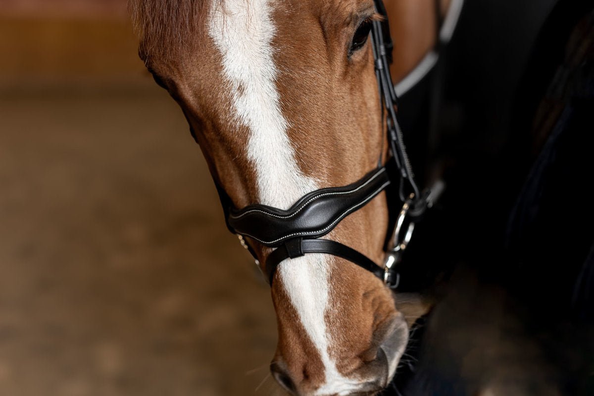 HFI Hoofdstel Wavy Trenshoofdstellen - Maddelin Equestrian HFI