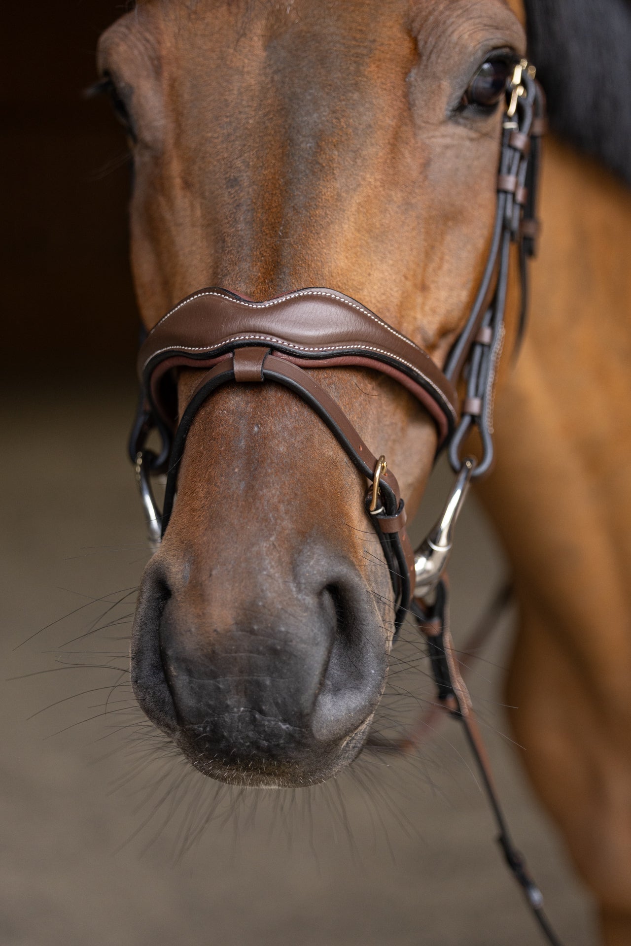 HFI Hoofdstel Wavy Trenshoofdstellen - Maddelin Equestrian HFI