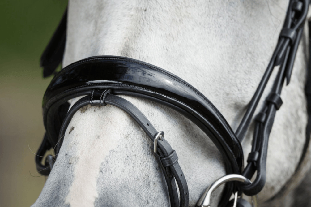 HFI Luxe Hoofdstel Trenshoofdstellen - Maddelin Equestrian HFI