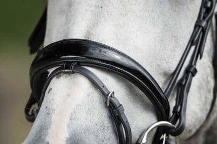 HFI Luxe Hoofdstel Trenshoofdstellen - Maddelin Equestrian HFI