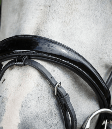 HFI Luxe Hoofdstel Trenshoofdstellen - Maddelin Equestrian HFI