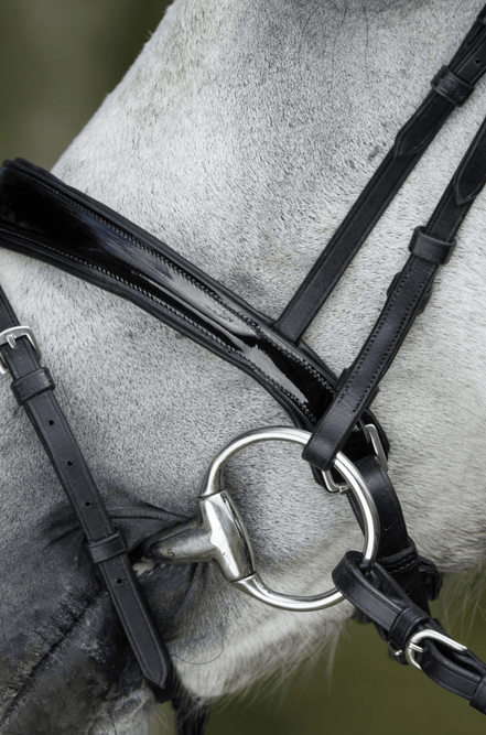HFI Luxe Hoofdstel Trenshoofdstellen - Maddelin Equestrian HFI