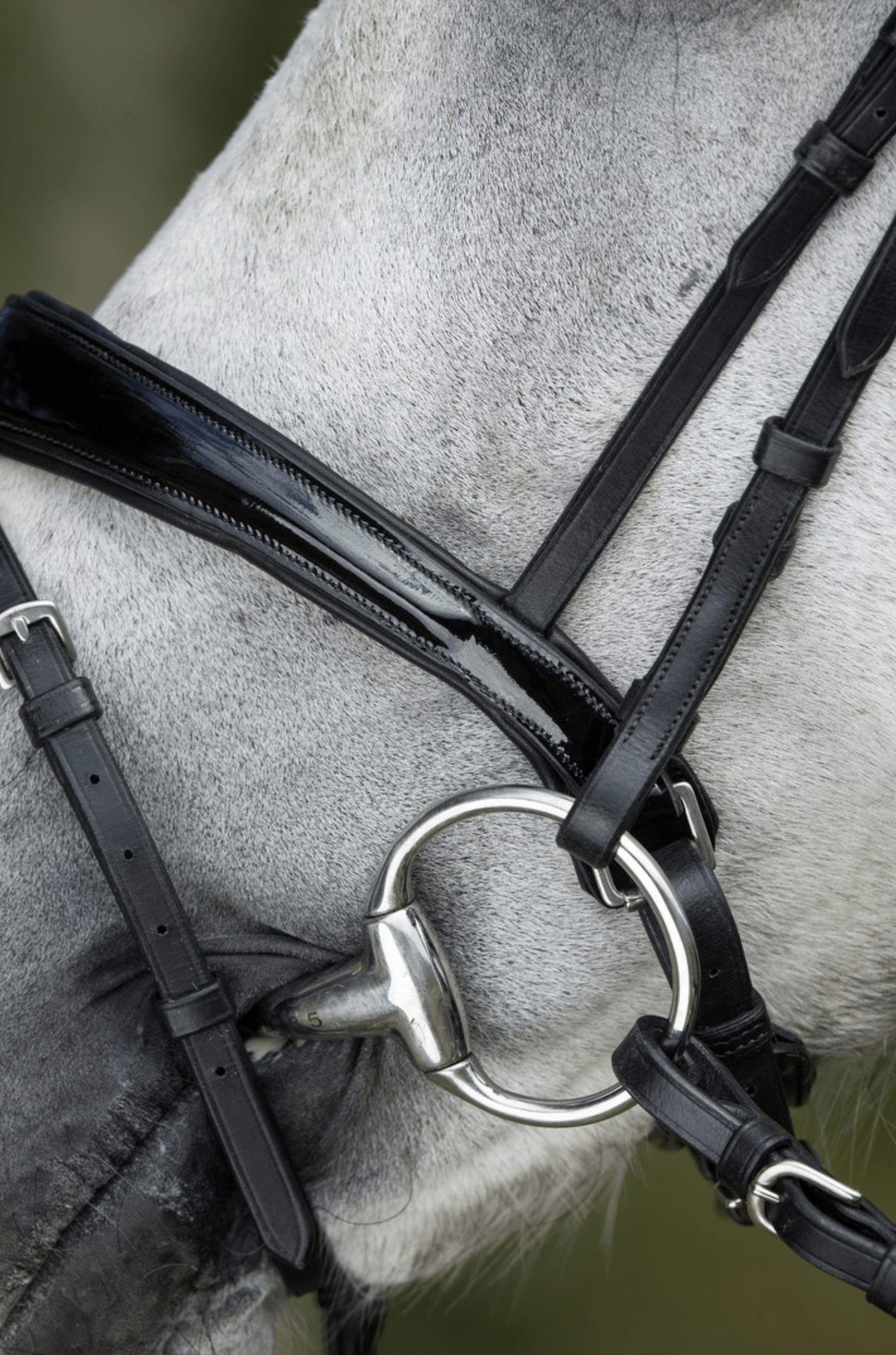 HFI Luxe Hoofdstel Trenshoofdstellen - Maddelin Equestrian HFI