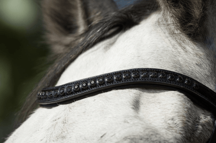 HFI Luxe Hoofdstel Trenshoofdstellen - Maddelin Equestrian HFI