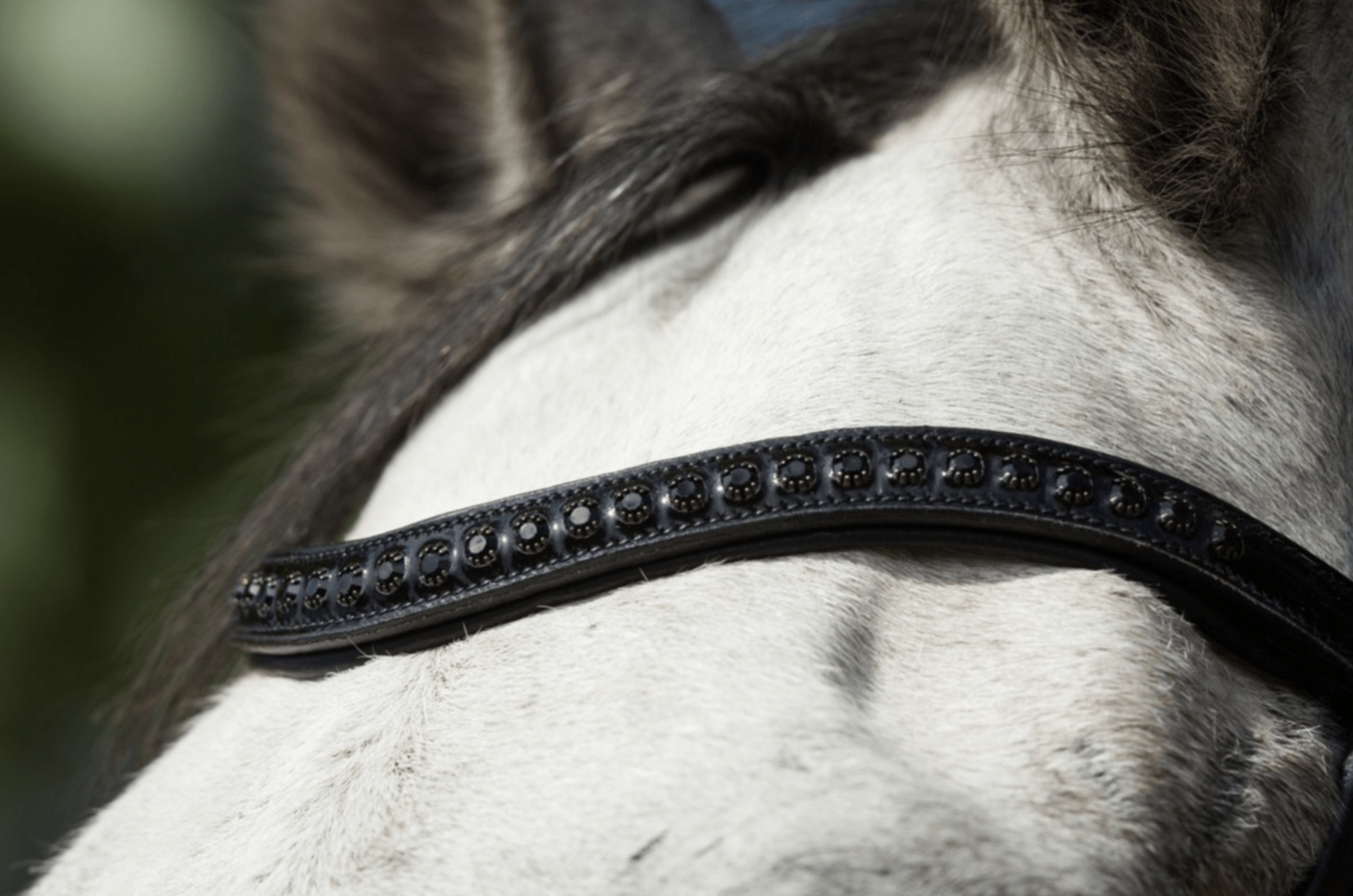 HFI Luxe Hoofdstel Trenshoofdstellen - Maddelin Equestrian HFI