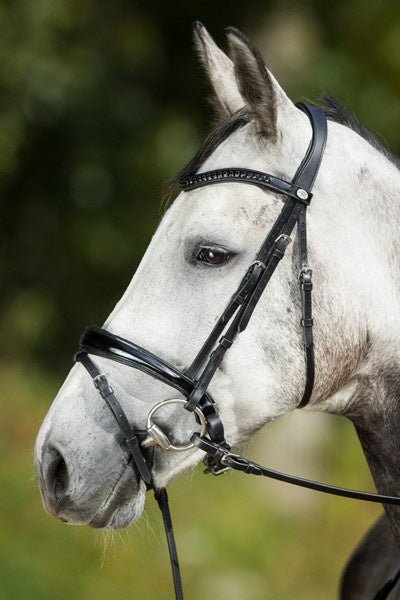 HFI Luxe Hoofdstel Trenshoofdstellen - Maddelin Equestrian HFI