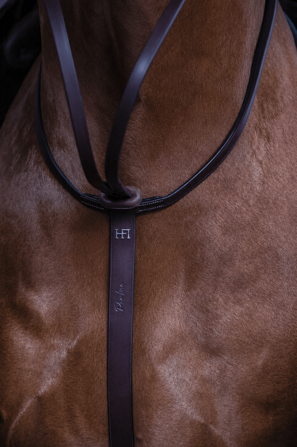 HFI Martingaal Asti Borstriemen en martingalen - Maddelin Equestrian