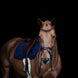 HFI Padded Wave Browband + Strass Frontriemen - Maddelin Equestrian HFI
