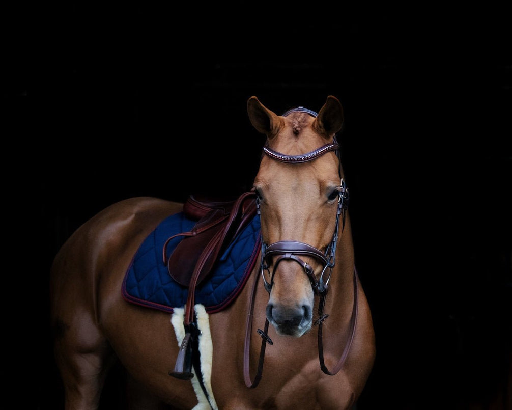 HFI Padded Wave Browband + Strass Frontriemen - Maddelin Equestrian HFI