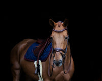 HFI Padded Wave Browband + Strass Frontriemen - Maddelin Equestrian HFI