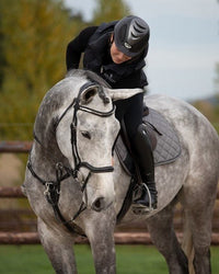 HFI Padded Wave Browband + Strass Frontriemen - Maddelin Equestrian HFI