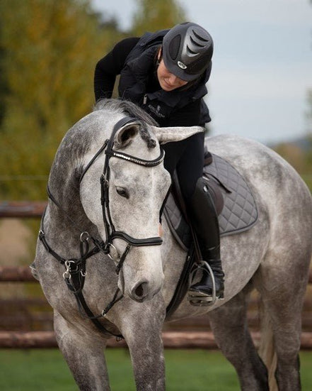 HFI Padded Wave Browband + Strass Frontriemen - Maddelin Equestrian HFI