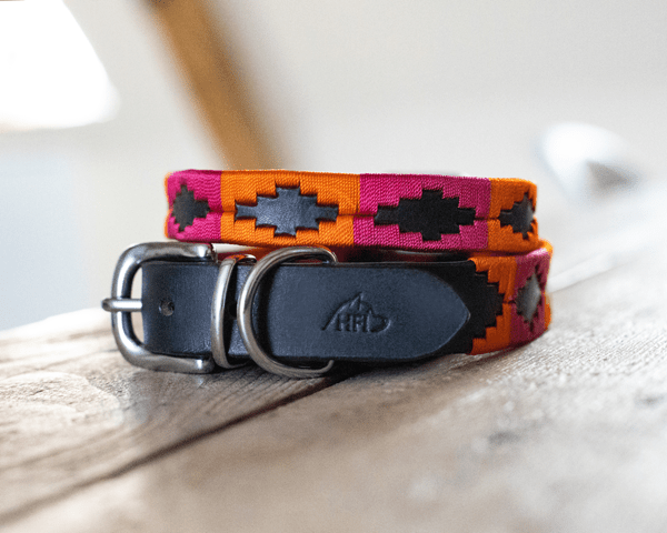 HFI Polo Dog Collar Dogwear - Maddelin Equestrian HFI