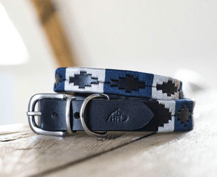 HFI Polo Dog Collar Dogwear - Maddelin Equestrian HFI