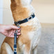 HFI Polo Dog Lead Dogwear - Maddelin Equestrian HFI