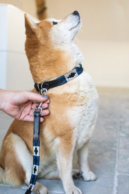 HFI Polo Dog Lead Dogwear - Maddelin Equestrian HFI