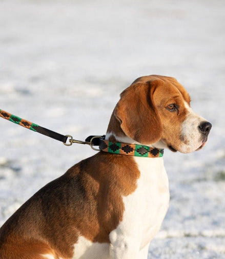 HFI Polo Dog Lead Dogwear - Maddelin Equestrian HFI