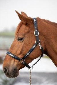 HFI Polo Halter Lederen - Maddelin Equestrian HFI