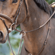 HFI Running Martingaal HFI Borstriemen en martingalen - Maddelin Equestrian HFI