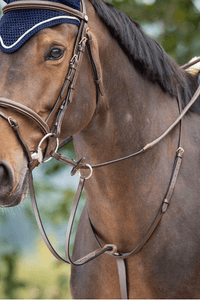 HFI Running Martingaal HFI Borstriemen en martingalen - Maddelin Equestrian HFI