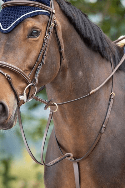 HFI Running Martingaal HFI Borstriemen en martingalen - Maddelin Equestrian HFI