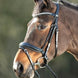 HFI Shiny Hoofdstel Trenshoofdstellen - Maddelin Equestrian HFI