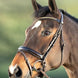HFI Shiny Hoofdstel Trenshoofdstellen - Maddelin Equestrian HFI