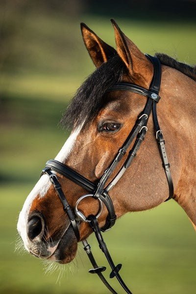 HFI Soft Hoofdstel Trenshoofdstellen - Maddelin Equestrian HFI