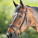 HFI Soft Hoofdstel Trenshoofdstellen - Maddelin Equestrian HFI