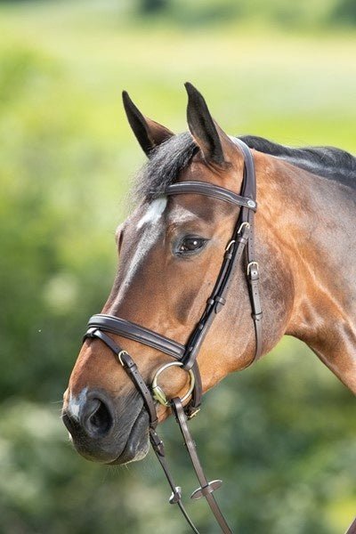 HFI Soft Hoofdstel Trenshoofdstellen - Maddelin Equestrian HFI