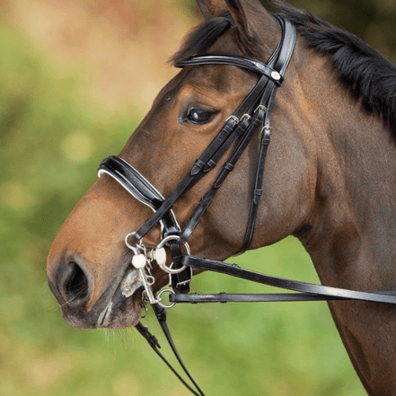 HFI Stang en Trens Hoofdstel Stang & Trens - Maddelin Equestrian HFI