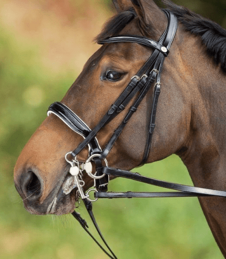 HFI Stang en Trens Hoofdstel Stang & Trens - Maddelin Equestrian HFI