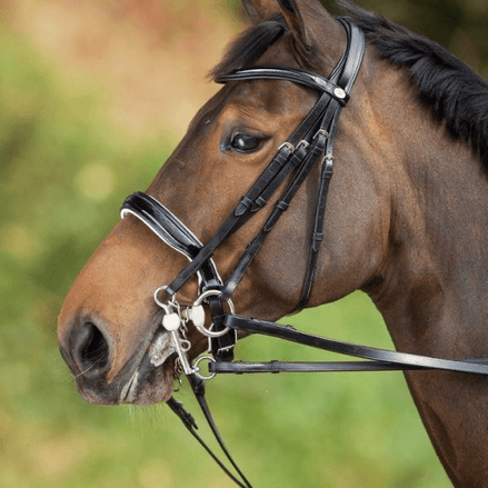 HFI Stang en Trens Hoofdstel Stang & Trens - Maddelin Equestrian HFI