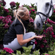 HFI Straight Browband + Strass Frontriemen - Maddelin Equestrian HFI