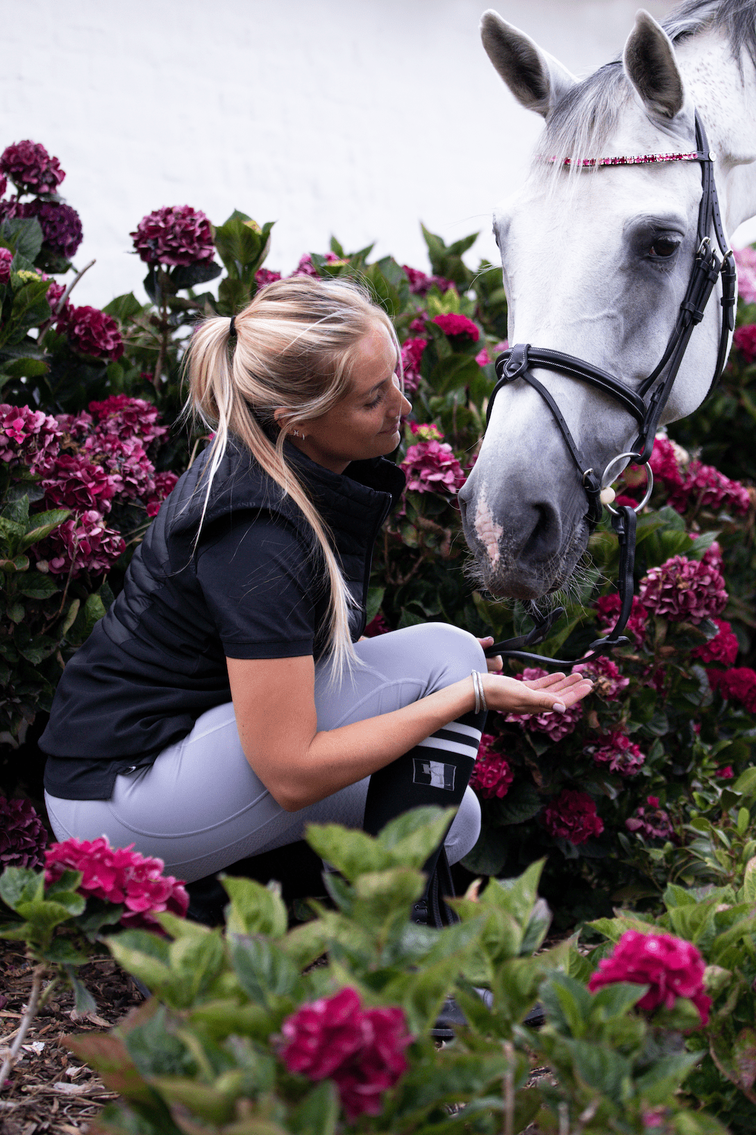 HFI Straight Browband + Strass Frontriemen - Maddelin Equestrian HFI