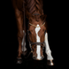 HFI Straight Browband + Strass Frontriemen - Maddelin Equestrian HFI