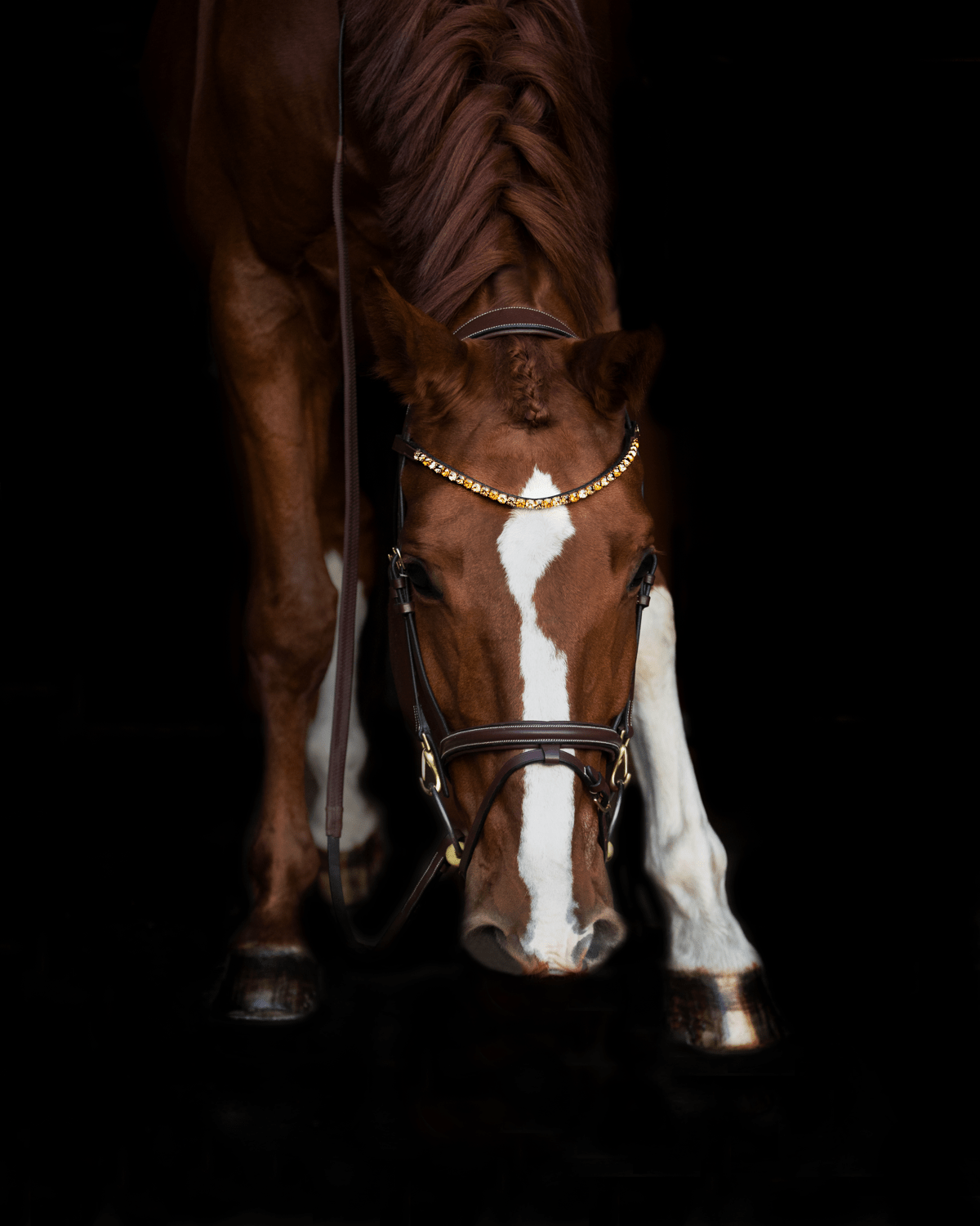 HFI Straight Browband + Strass Frontriemen - Maddelin Equestrian HFI