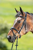 HFI Technical Hoofdstel Trenshoofdstellen - Maddelin Equestrian HFI
